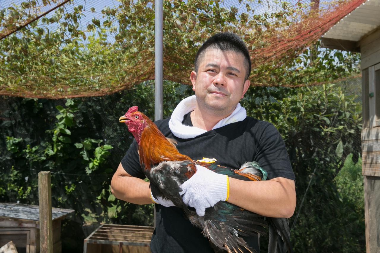 Sazareishi Takashima Nobeoka Bagian luar foto